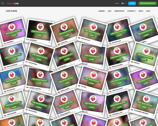 Shemales.it.com Logo